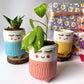 3 Musketeer planter Gift Hamper