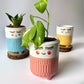 3 Musketeer planter Gift Hamper